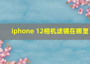 iphone 12相机滤镜在哪里